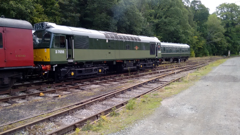 Class 25 D7659 at Pentrefelin on 26/08/23