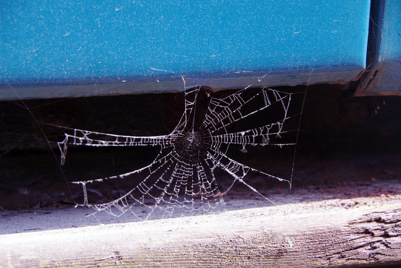 Class 104: Spider's web