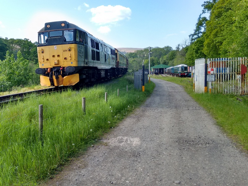 31271 passing Pentrefelin Yard with the 16.05 Carrog-Llangollen on 14/05/22