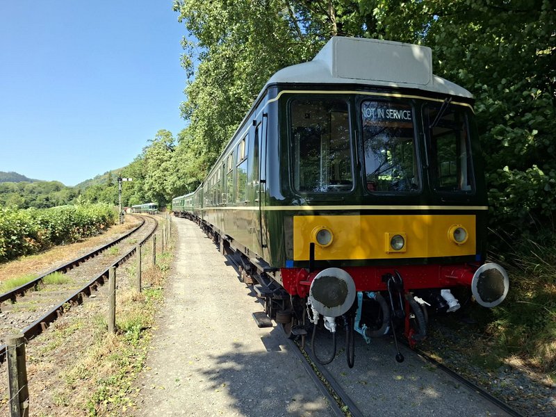 Pentrefelin shunt-a-thon